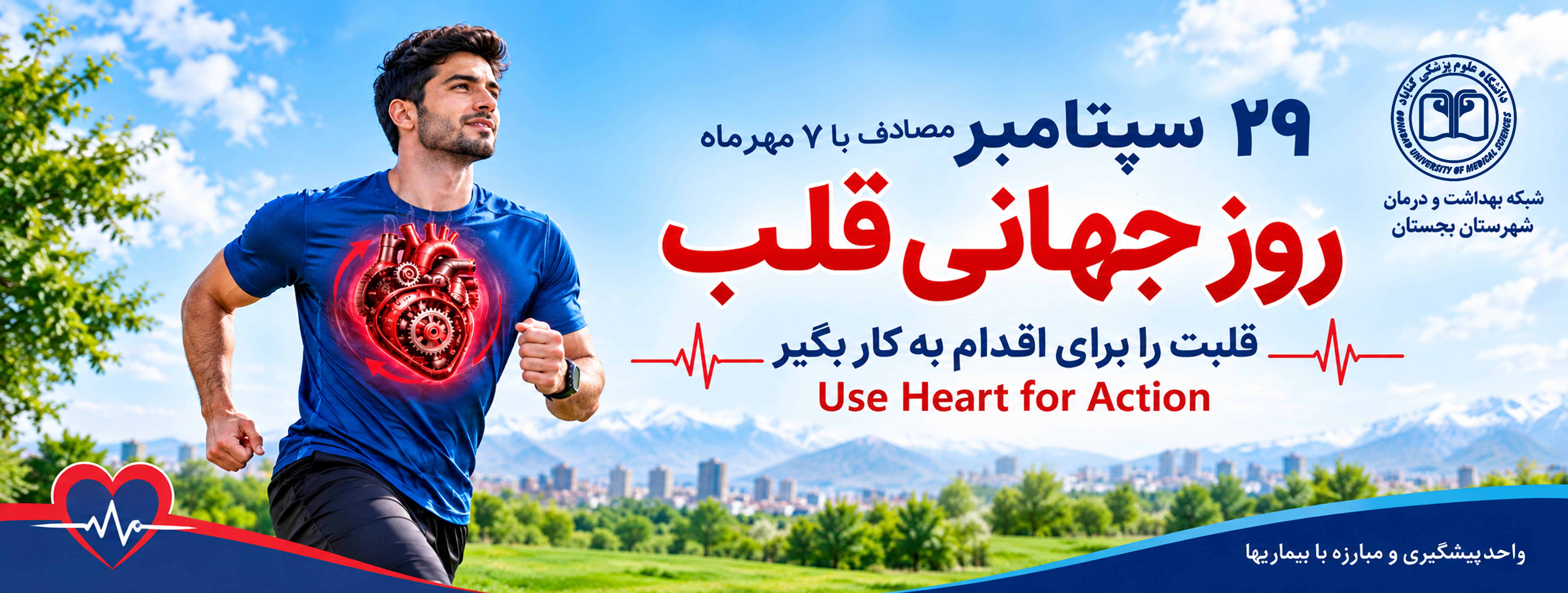 قلب