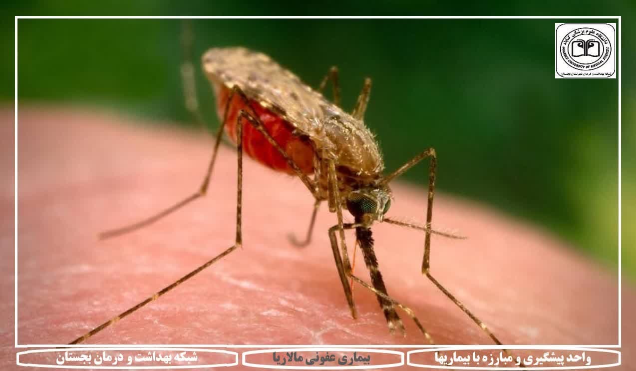 هشدار در صورت مسافرت به سیستان و بلوچستان،هرمزگان و کرمان:   «بازگشت مالاریا در جنوب شرق ایران»